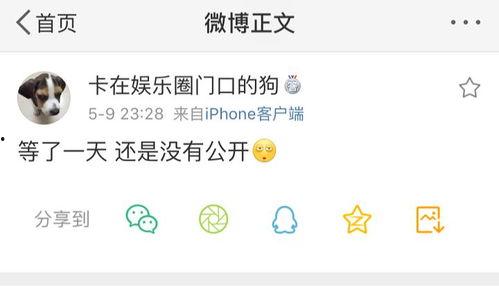 qq上的吃瓜爆料,QQ吃瓜爆料背后的真相与热议