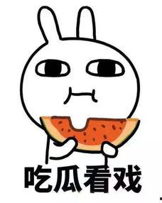 娱乐吃瓜酱心动心安,心动与心安的甜蜜碰撞